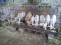 IMG_20250714_154729