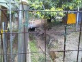 IMG_20250714_154756
