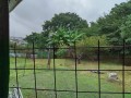 IMG_20250714_154835