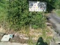 IMG_20250715_073848