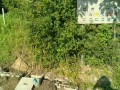 IMG_20250715_073850