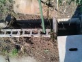 IMG_20250715_073855