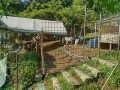 IMG_20250715_073934