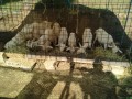 IMG_20250715_074243
