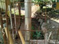 IMG_20250715_074255
