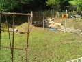 IMG_20250715_074327