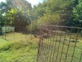 IMG_20250715_074329