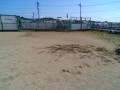 IMG_20250715_080939