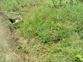 IMG_20250715_114328