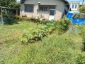 IMG_20250715_114331