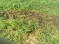 IMG_20250716_090721