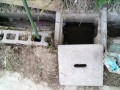 IMG_20250716_155713