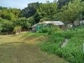 IMG_20250716_155738