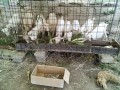 IMG_20250716_160052