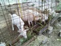 IMG_20250716_160105