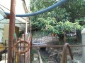 IMG_20250716_160110