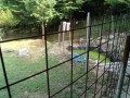 IMG_20250716_160125