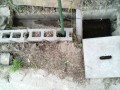 IMG_20250717_090442