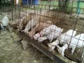 IMG_20250717_090937