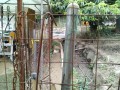IMG_20250717_090948