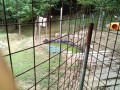 IMG_20250717_091017