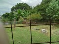 IMG_20250717_091020