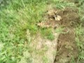 IMG_20250717_102547