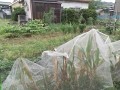IMG_20250717_102550