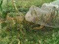 IMG_20250717_102552