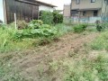 IMG_20250717_111815