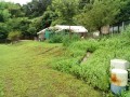 IMG_20250718_090229