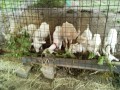 IMG_20250718_090632