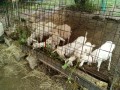 IMG_20250718_090636