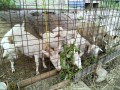 IMG_20250718_090645