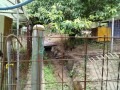 IMG_20250718_090648