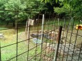 IMG_20250718_090708