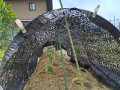 IMG_20250718_122337
