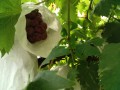 IMG_20250718_122538