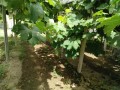 IMG_20250718_122547