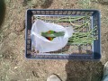 IMG_20250718_124011
