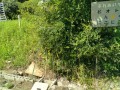 IMG_20250719_100039