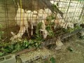IMG_20250719_100630