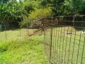 IMG_20250719_100715