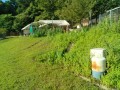 IMG_20250720_072904