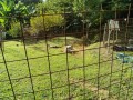 IMG_20250720_073340