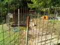 IMG_20250720_073344