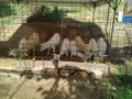 IMG_20250720_073436