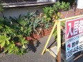IMG_20250720_162219