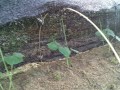 IMG_20250720_165007