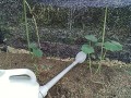 IMG_20250720_165031